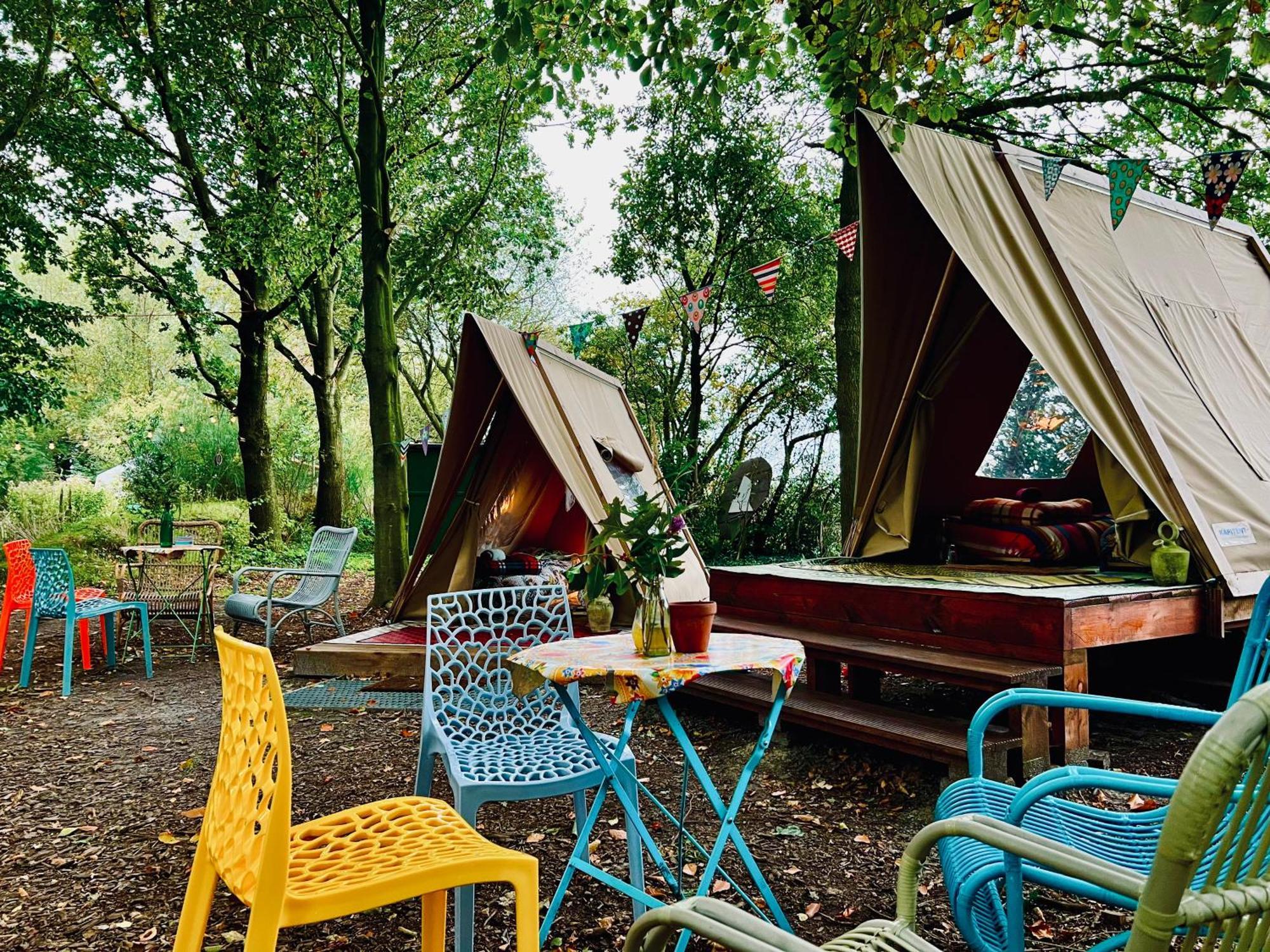 Eco-Camping De Helleborus, Yurt, Bell & Safari Tent, Pipo, Caravans, Dorms And Units Groningen Exterior foto