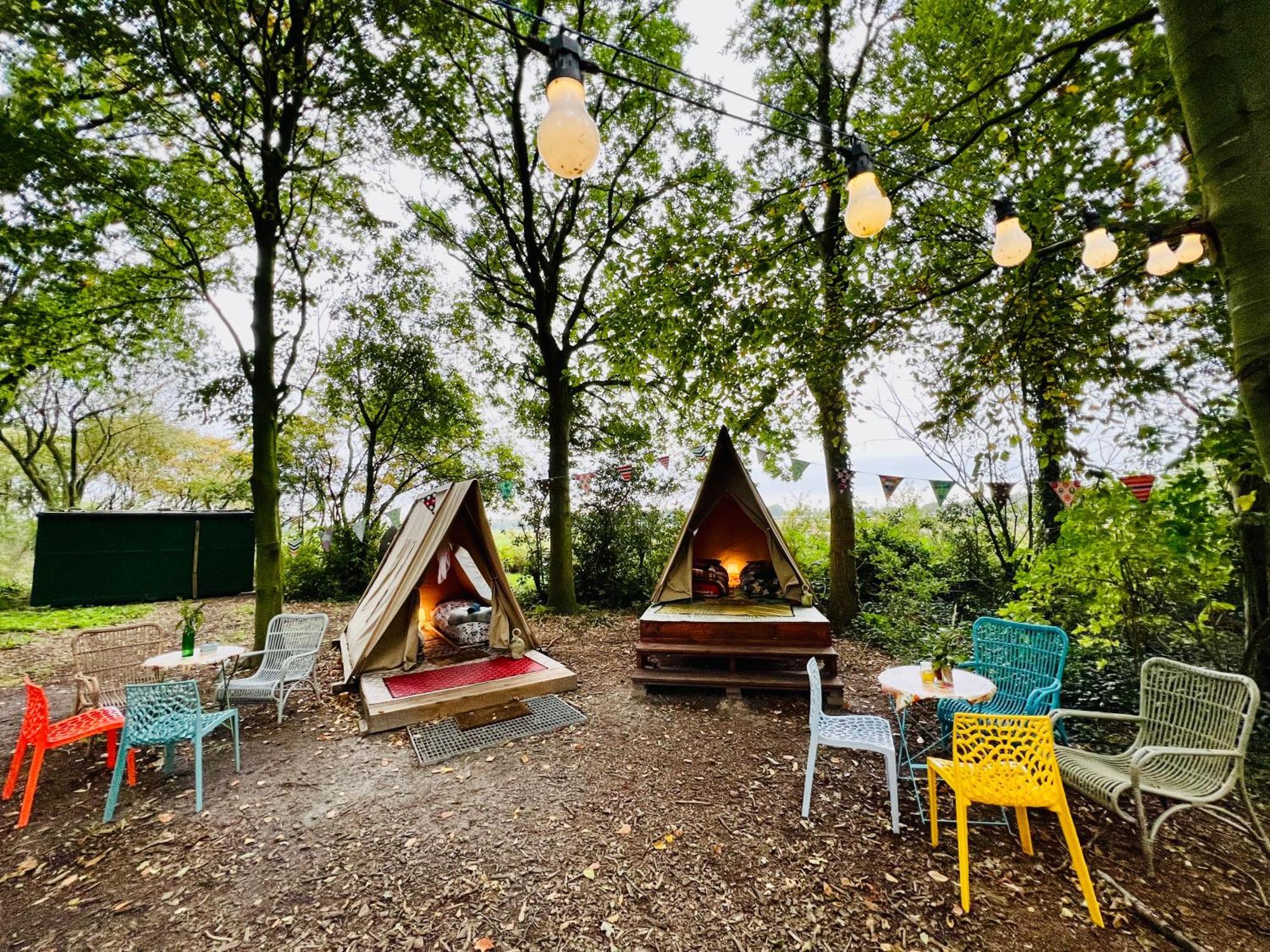 Eco-Camping De Helleborus, Yurt, Bell & Safari Tent, Pipo, Caravans, Dorms And Units Groningen Exterior foto