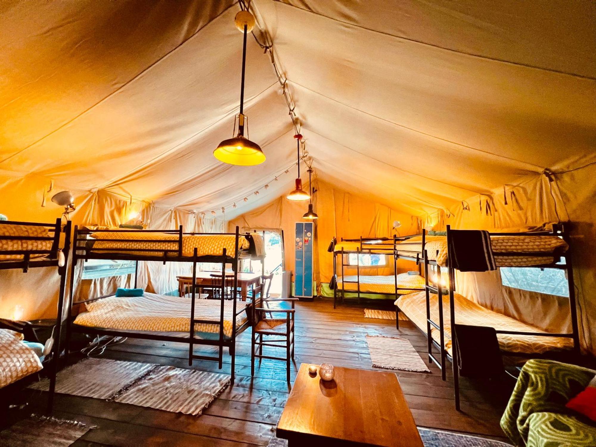 Eco-Camping De Helleborus, Yurt, Bell & Safari Tent, Pipo, Caravans, Dorms And Units Groningen Exterior foto