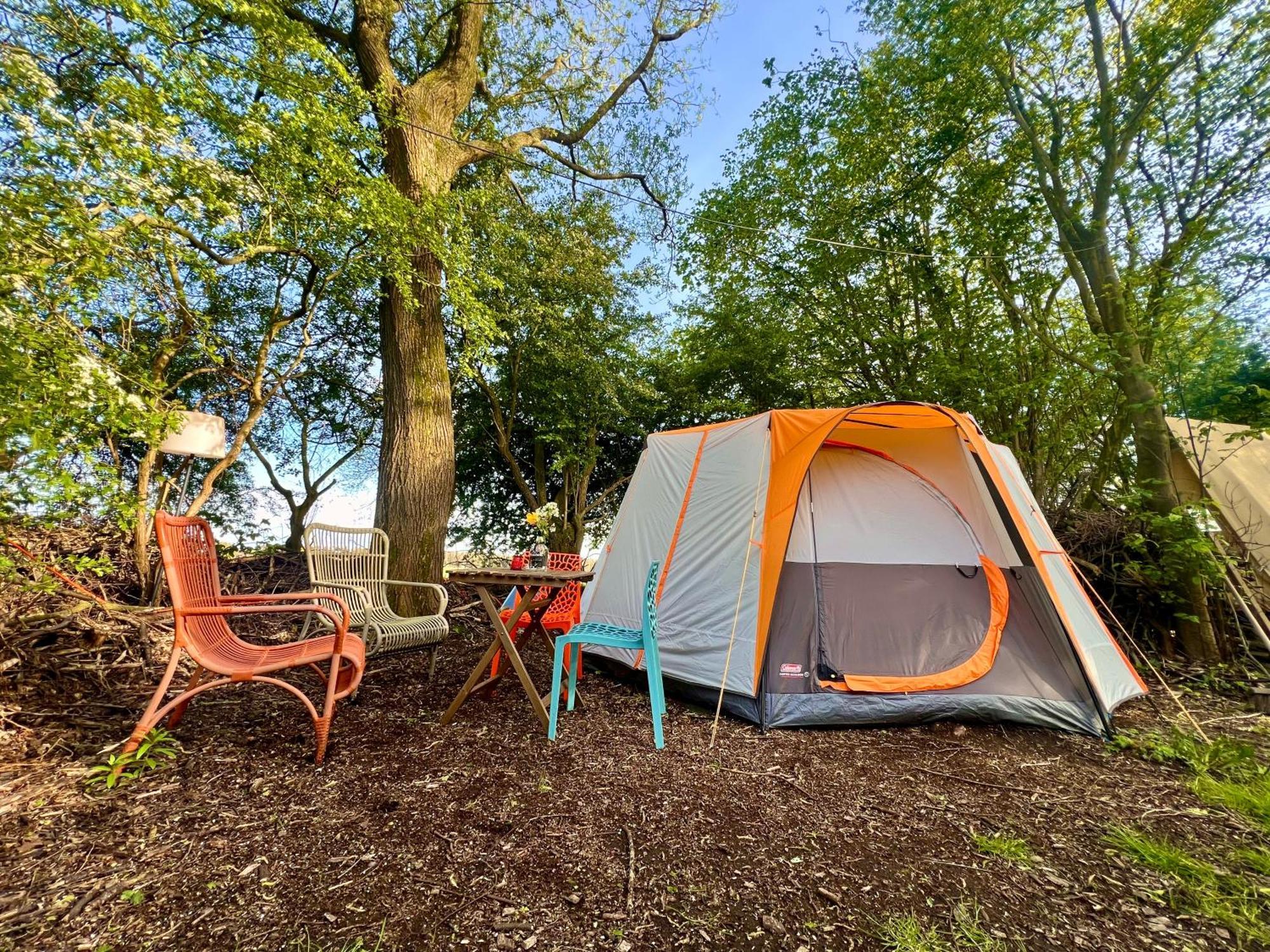 Eco-Camping De Helleborus, Yurt, Bell & Safari Tent, Pipo, Caravans, Dorms And Units Groningen Exterior foto