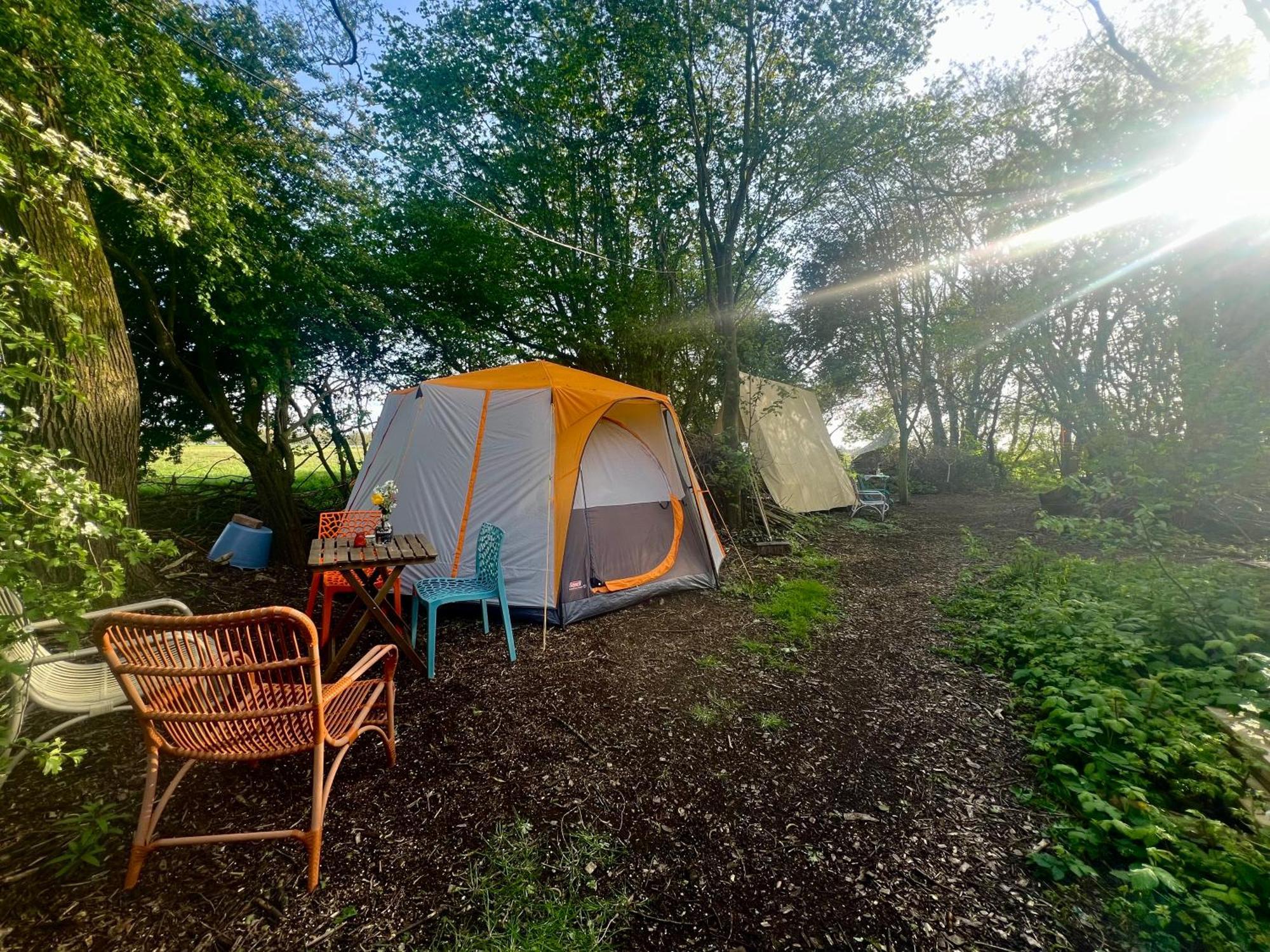 Eco-Camping De Helleborus, Yurt, Bell & Safari Tent, Pipo, Caravans, Dorms And Units Groningen Exterior foto