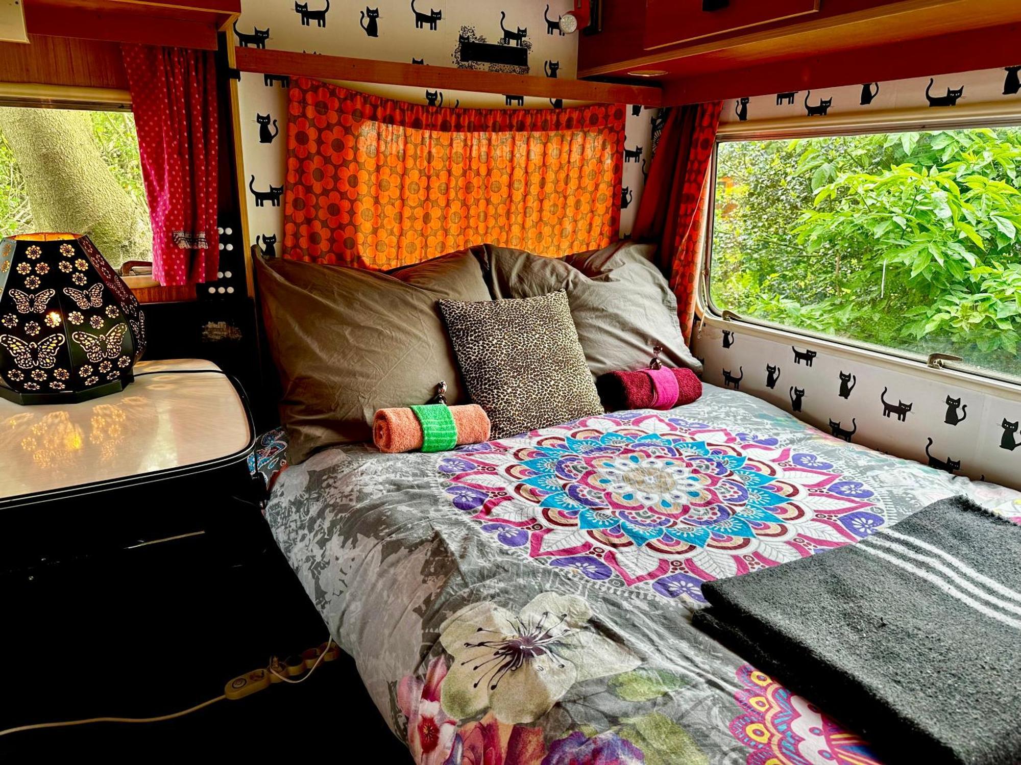 Eco-Camping De Helleborus, Yurt, Bell & Safari Tent, Pipo, Caravans, Dorms And Units Groningen Exterior foto